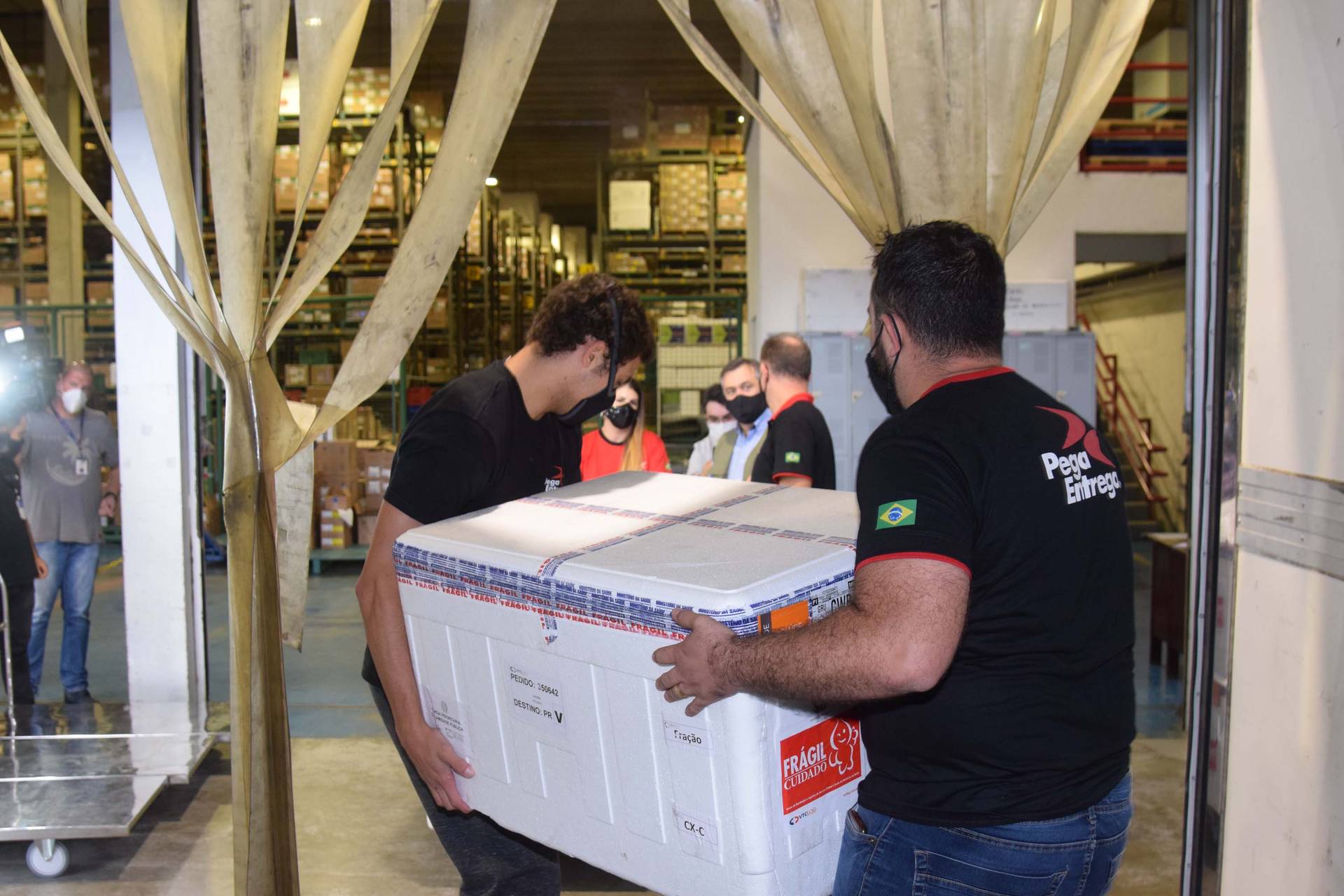 Mais 242 mil doses de vacina contra a Covid-19 chegam ao Paraná Cidades