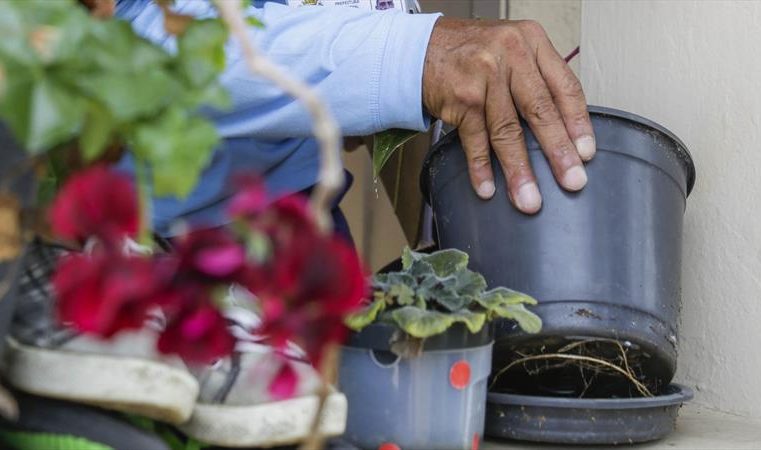 Verão exige cuidados redobrados para evitar a dengue