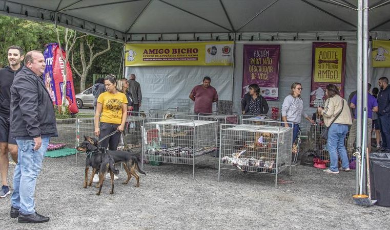 Inscrição de cães para evento de adoção Amigo Bicho começa na segunda