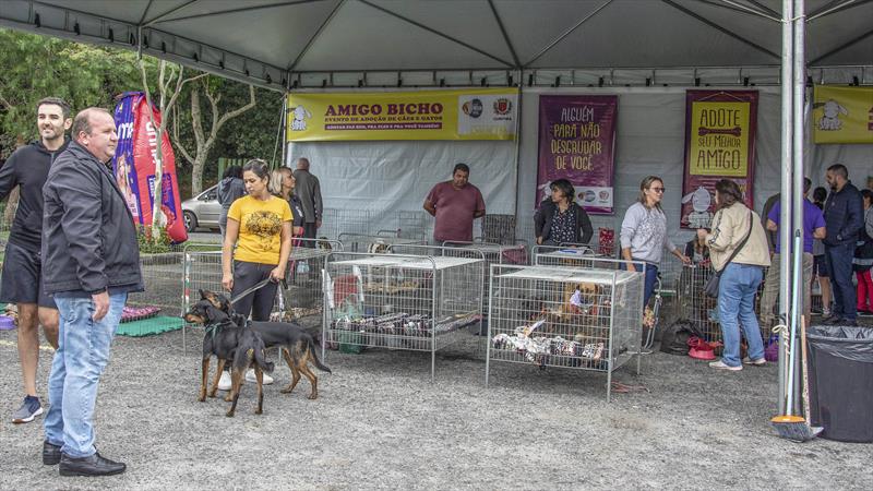 Inscrição de cães para evento de adoção Amigo Bicho começa na segunda