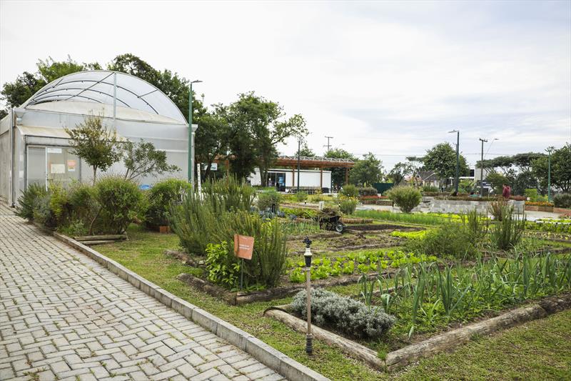 Fazenda Urbana de Curitiba ensina práticas sustentáveis de cultivo e promove oficina de chás