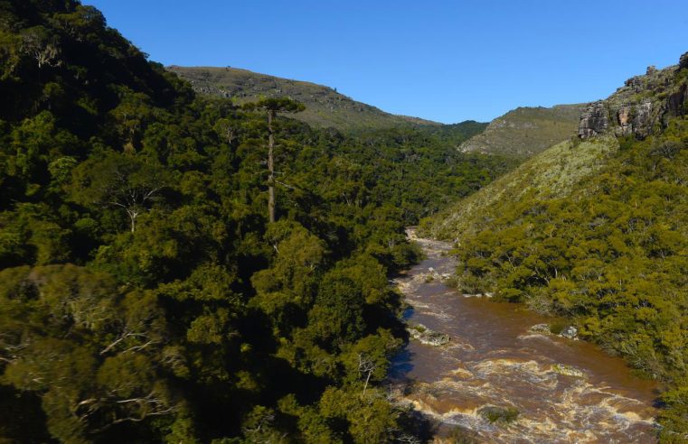 Visitas às Unidades de Conservação do Paraná crescem 98% no 1º quadrimestre