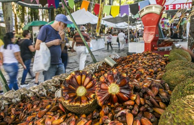 Céu ensolarado de Curitiba atrai ainda mais visitantes à feira da Praça Osório