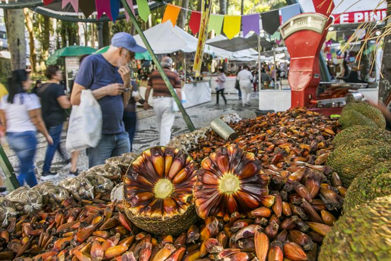 Céu ensolarado de Curitiba atrai ainda mais visitantes à feira da Praça Osório