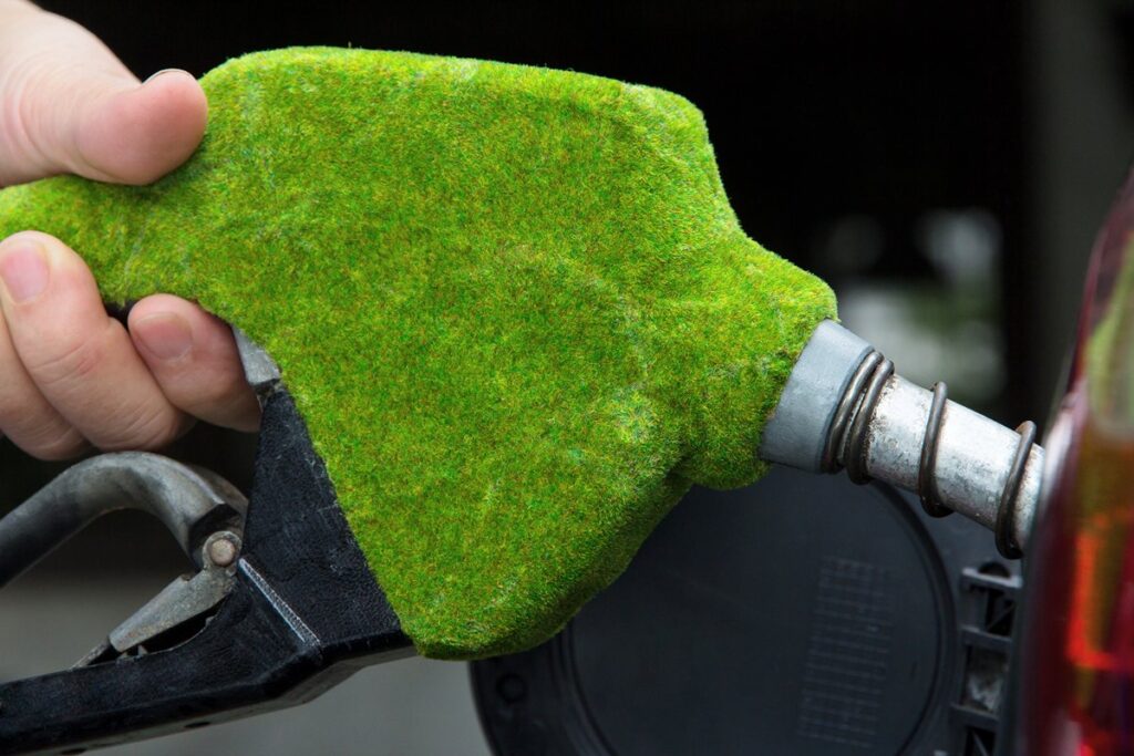 biodiesel 1