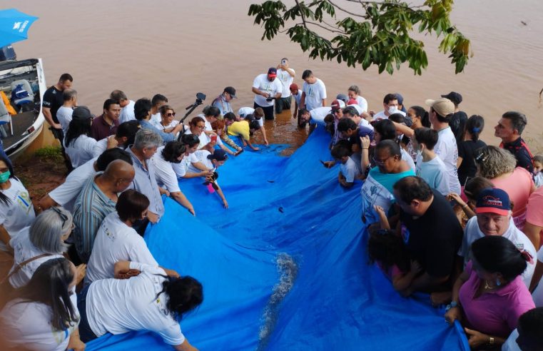 Estado vai repovoar rios do Paraná com mais 10 milhões de peixes nativos até 2026