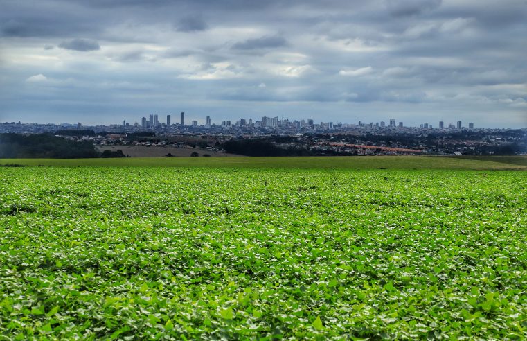 Com expansão de 37%, safra de grãos 22/23 deve chegar a 46,6 milhões de toneladas no Paraná