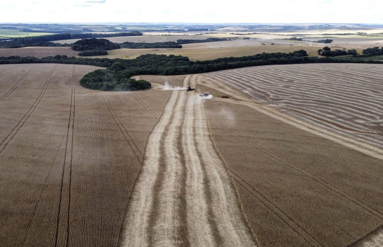 34 cidades do Paraná têm Valor Bruto de Produção Agropecuária acima de R$ 1 bilhão