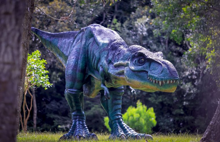 Prefeitura pede que população ajude a cuidar das esculturas do Parque dos Dinossauros