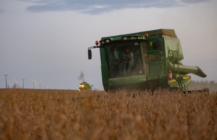 Paraná caminha para produzir 21,12 milhões de toneladas de soja