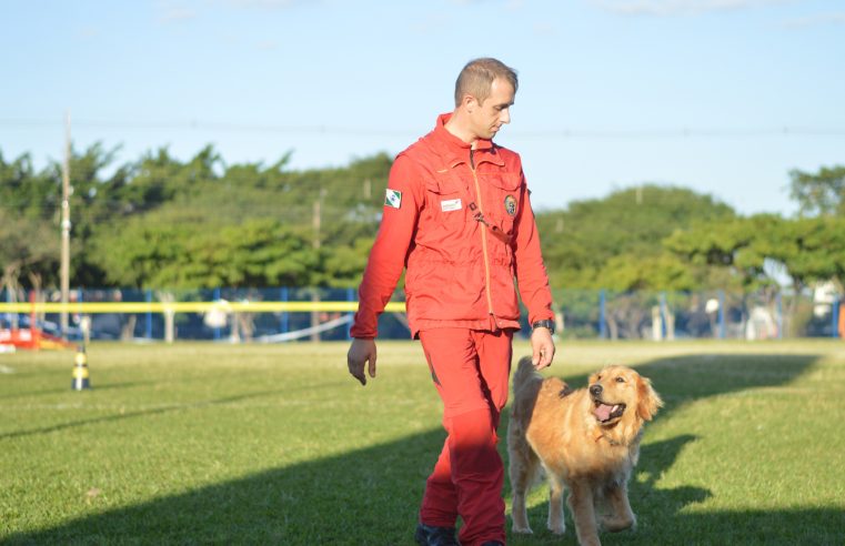 Paraná amplia número de cães aptos para resgates
