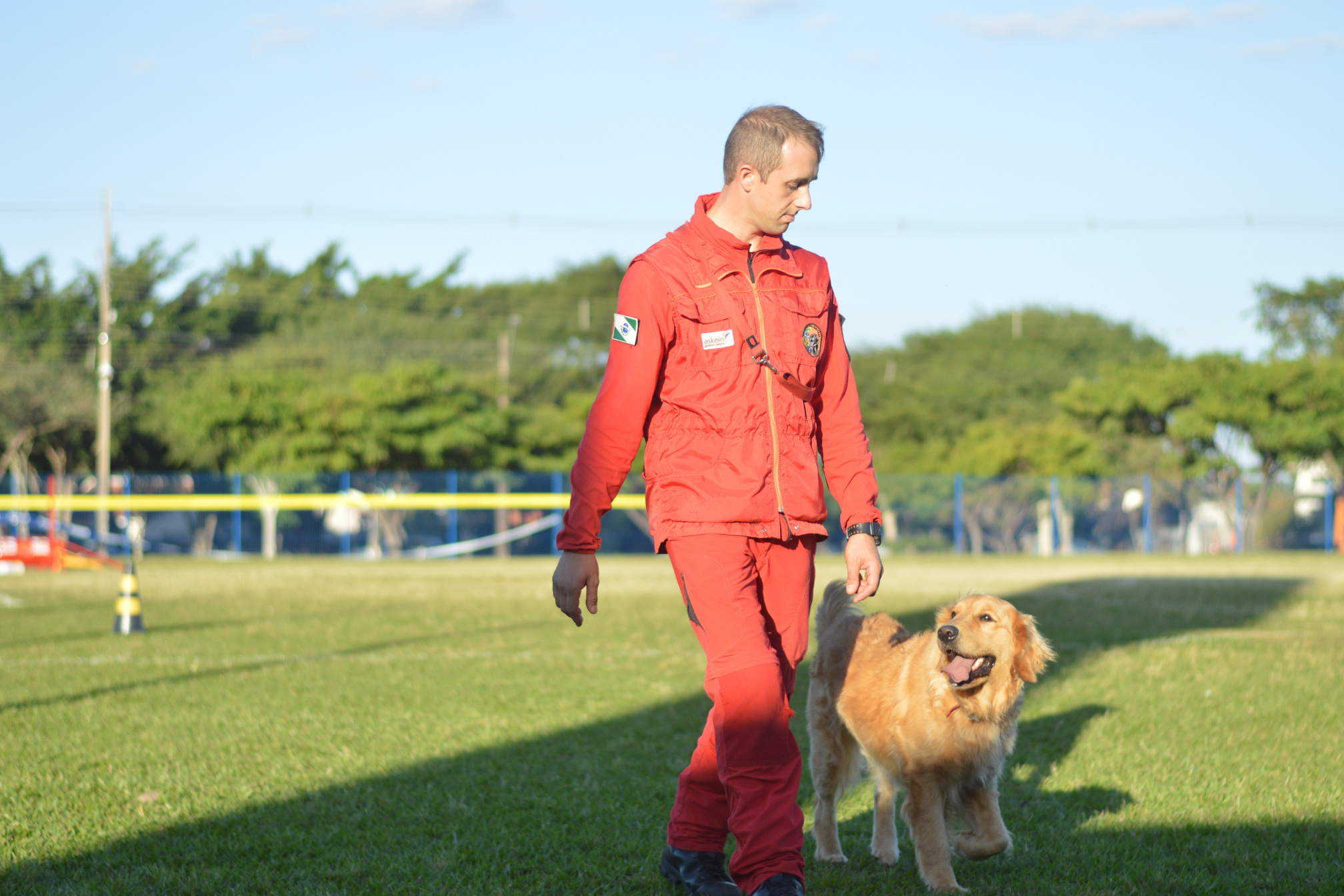 Paraná amplia número de cães aptos para resgates