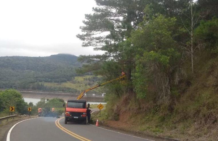 Limpinha! Rodovia do Pinhão “recebeu” aquele trato