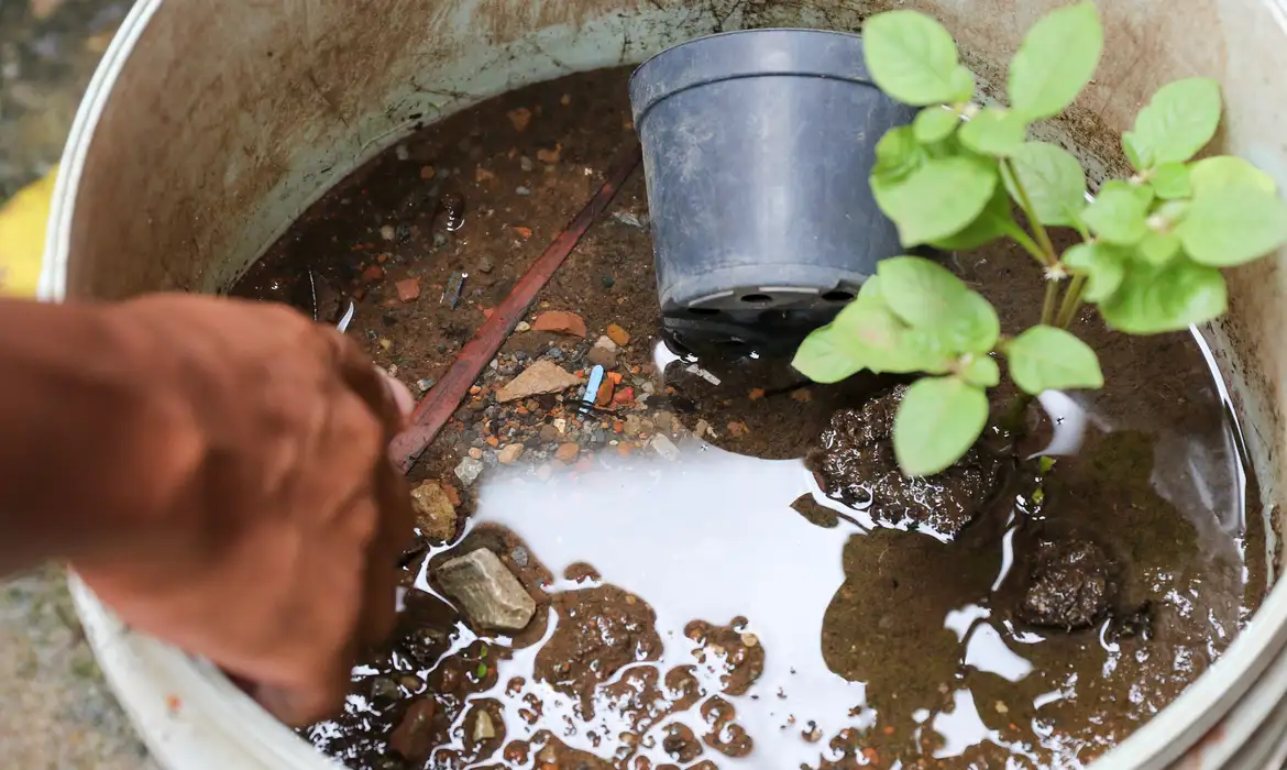 Triste: Brasil ultrapassa marca de 5 mil mortes por dengue