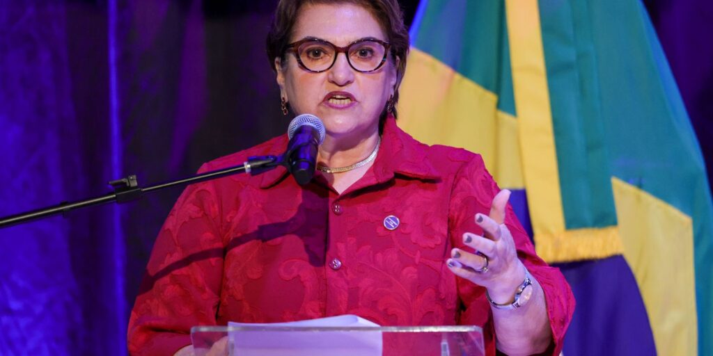 Ato de Solidariedade à Ministra Marina Silva Marca Posse de Márcia Lopes 14 imagem 1748516501995