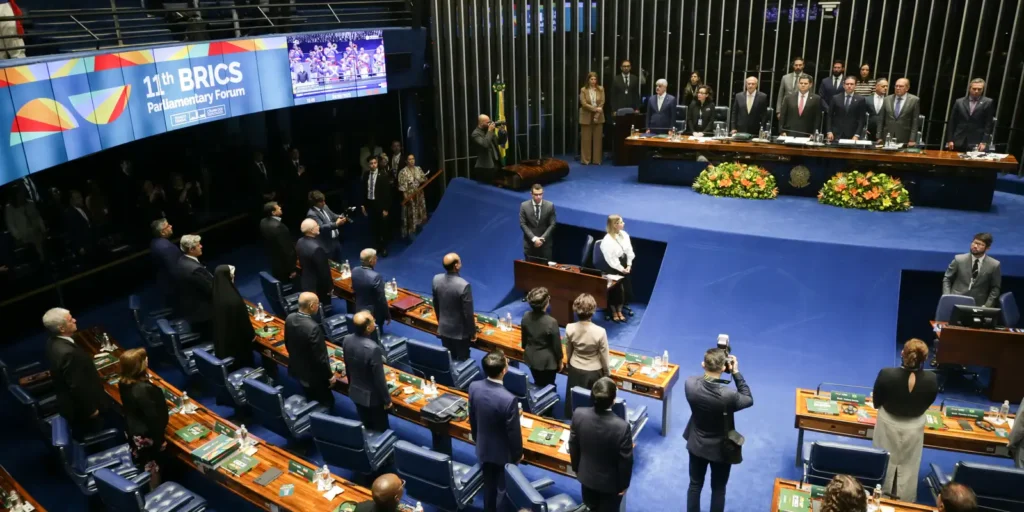 Fórum do Brics em Brasília destaca relações Sul-Sul e reforma da ONU 12 imagem 1749059400380