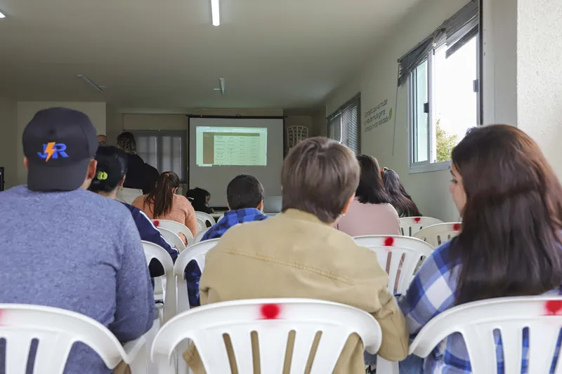 cursos