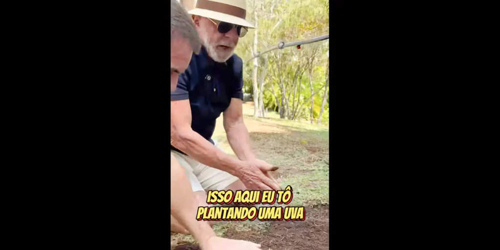 imagem 1755489630448
