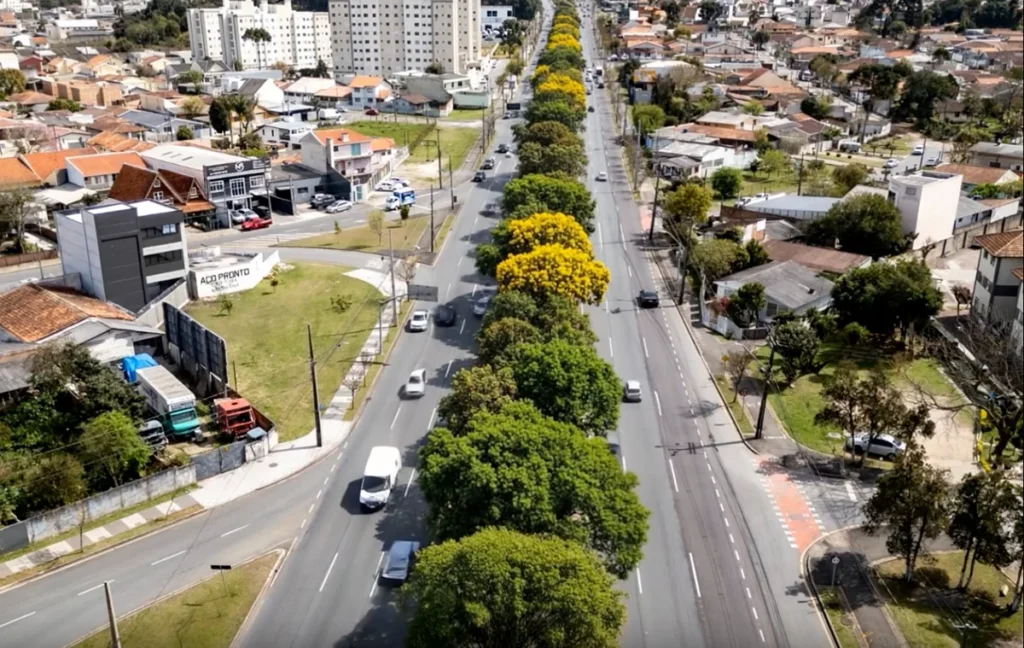 Avenida das torres com arvores