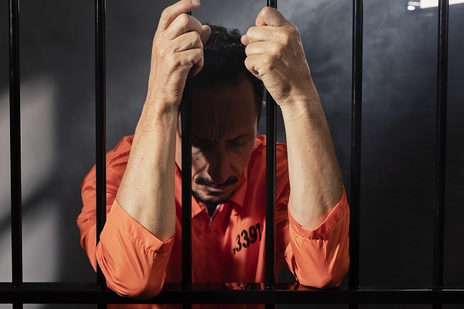 Como a advocacia pode acompanhar a execução penal no Brasil? 3 Como a advocacia pode acompanhar a execução penal no Brasil?