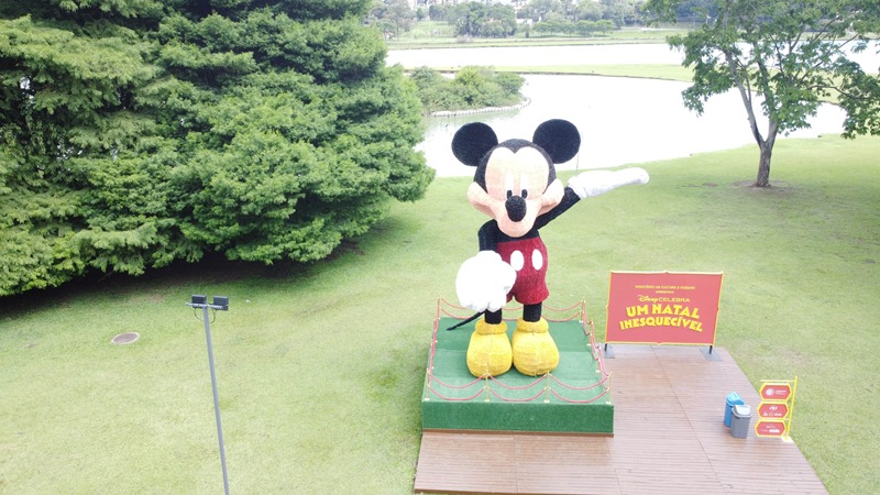 disney em curiiba