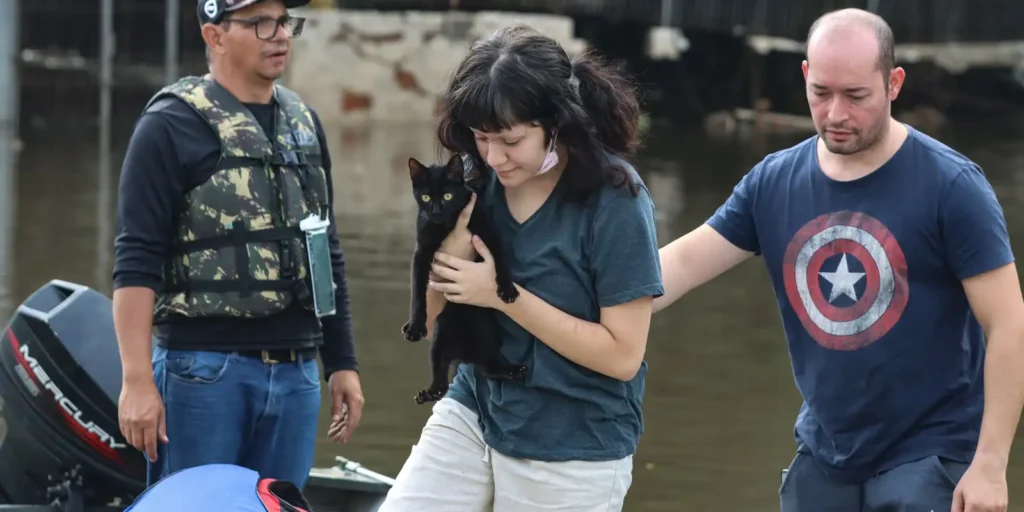 Senado Aprova Proteção a Animais em Desastres 8 imagem 1772082138998