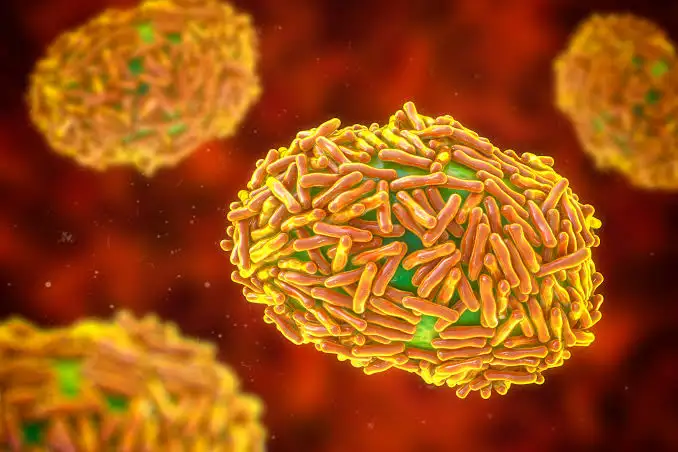mpox virus