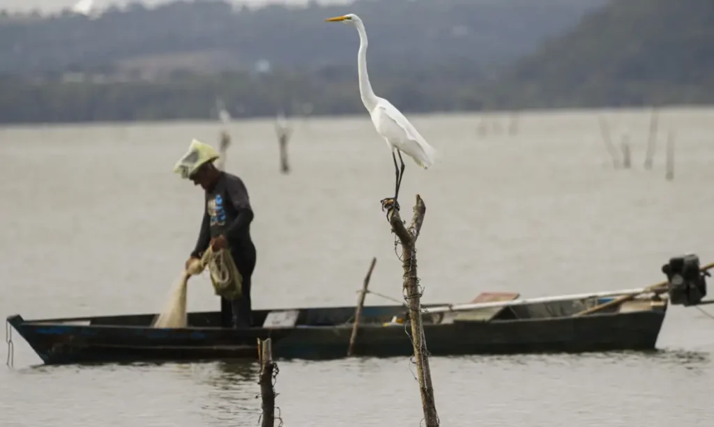 Congresso aprova mudanças no seguro-defeso para fortalecer controle e evitar fraudes 6 Maceió (AL) 18/12/2023 – Um pescador é visto pescando na lagoa. A pesca na região foi probida após rompimento da mina n°18 da mineradora Baskem na lagoa de Mundaú. Foto: Joédson Alves/Agência Brasil