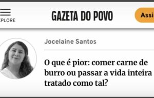 A carne, o burro e o colapso que não cabe na narrativa — nem na sua omissão. 1 burro03