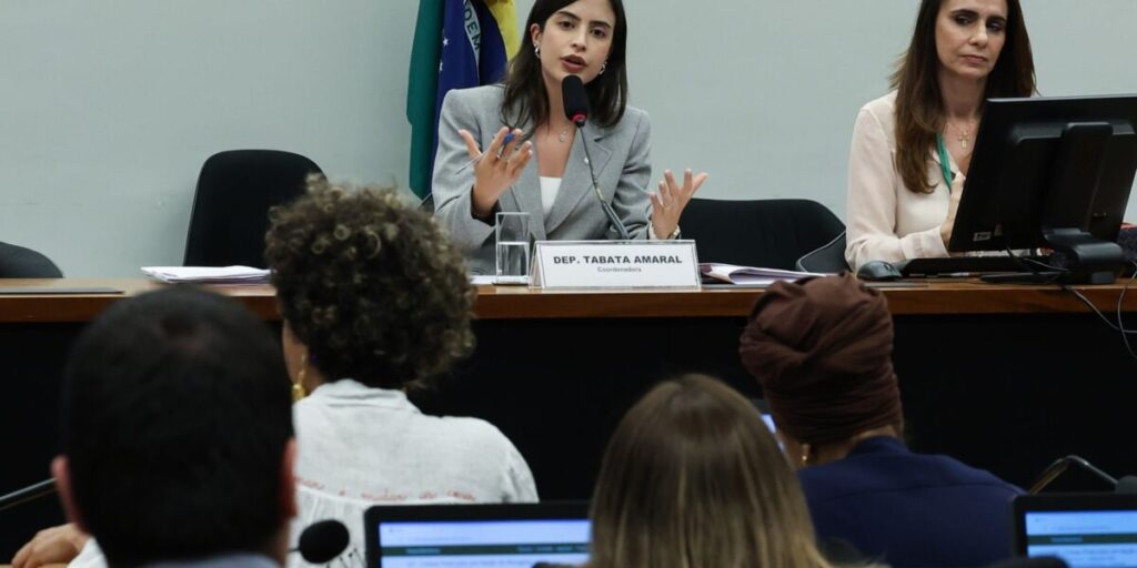 PL que criminaliza misoginia avança na Câmara 9 Proposta que criminaliza misoginia avança na Câmara dos Deputados