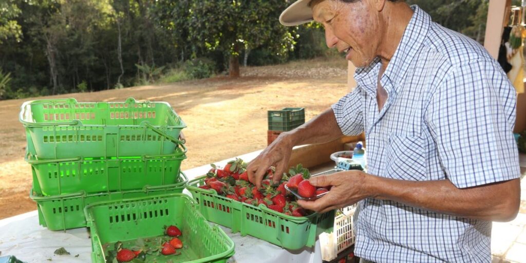 Finep anuncia R$ 220 mi para inovação na agricultura familia 2 Finep vai pagar R$ 220 milhões para inovações em agricultura familiar