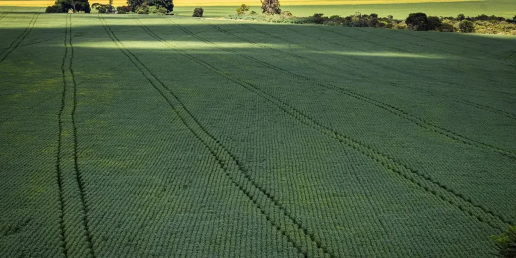 Senado aprova Profert para incentivar fertilizantes no país 1 Senado aprova plano para fabricação de fertilizantes no Brasil