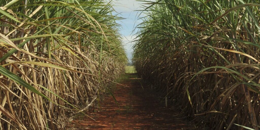 CMN eleva remuneração do Eco Invest Brasil a 4% ao ano 7 Conselho eleva limite de remuneração do Eco Invest Brasil