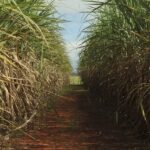 Conselho eleva limite de remuneração do Eco Invest Brasil