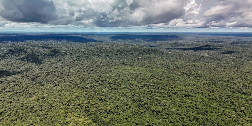 Fazenda autoriza crédito de US$ 1 bilhão do BID para Eco Invest Brasil