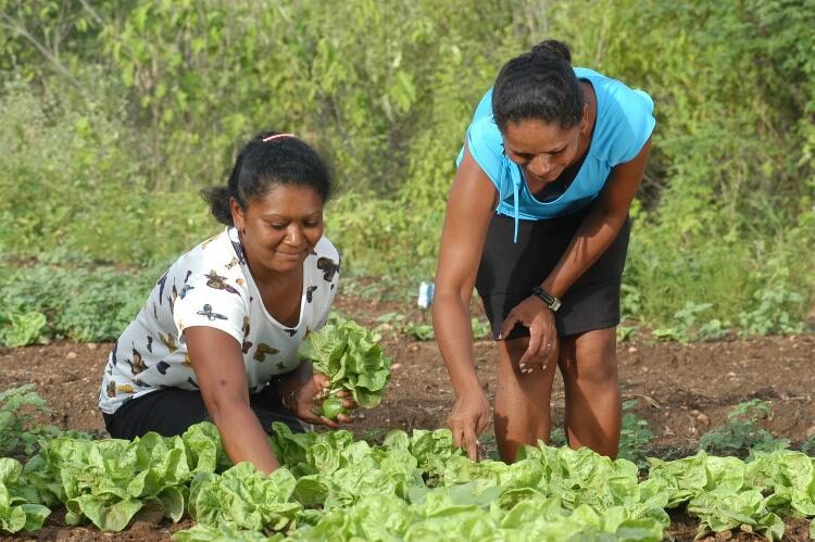 Mulheres já lideram cerca de 947 mil propriedades rurais no Brasil