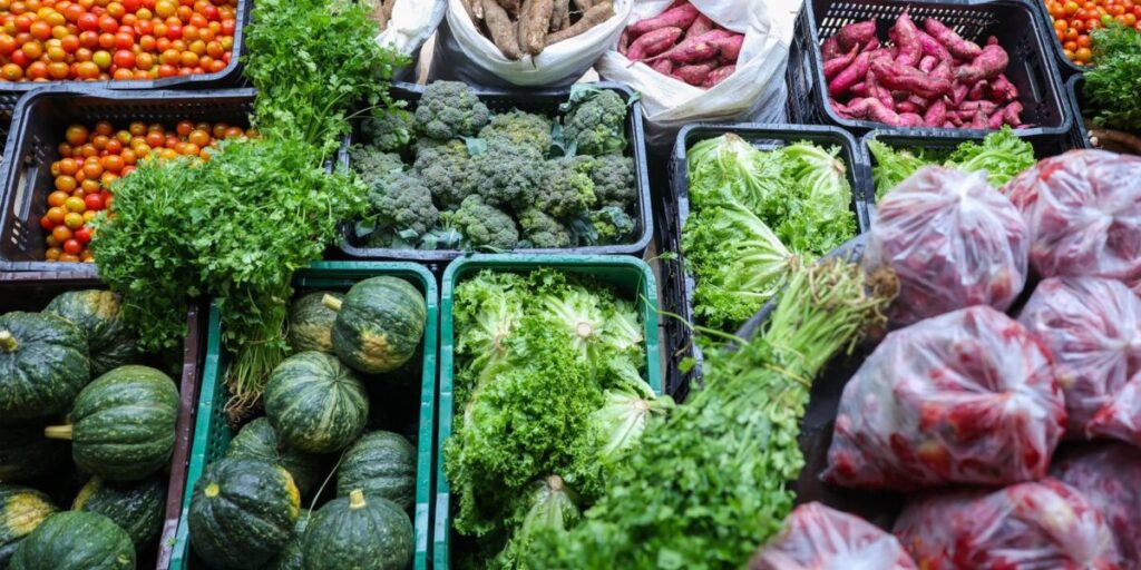 Esforço coletivo reforça segurança alimentar no Brasil 4 Segurança alimentar exige esforço coletivo e articulação