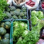Segurança alimentar exige esforço coletivo e articulação